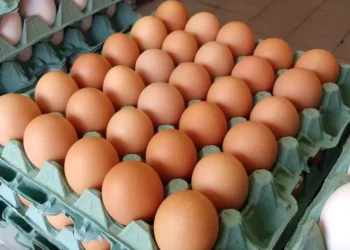 preco-da-cartela-de-ovos-dispara-em-goias