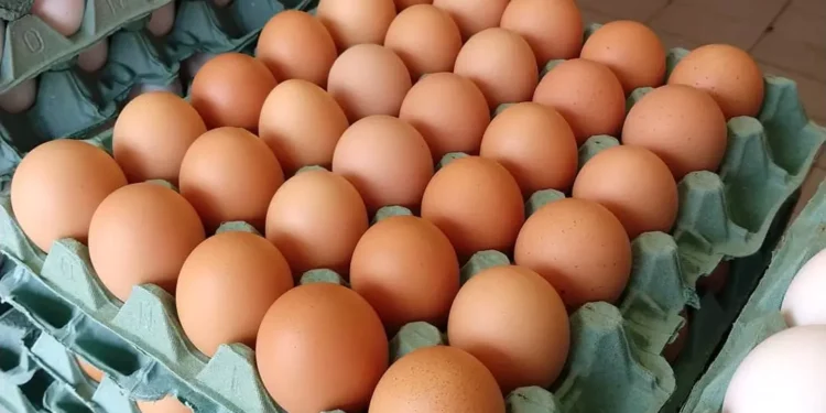 preco-da-cartela-de-ovos-dispara-em-goias