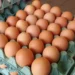 preco-da-cartela-de-ovos-dispara-em-goias