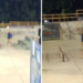 homem-atira-para-o-alto-em-pista-de-skate-apos-se-incomodar-com-barulho