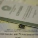 mais-de-100-criancas-e-adolescentes-estao-a-espera-de-adocao-em-goias
