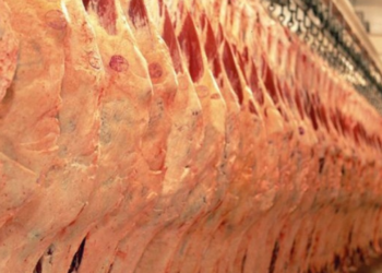 china-suspende-importacao-de-carne-bovina-de-tres-frigorificos-brasileiros