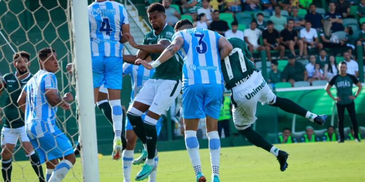 crac-catalano-garante-vaga-na-serie-d-de-2026