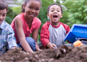 contribuintes-podem-destinar-parte-do-imposto-de-renda-para-causas-sociais