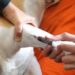 programa-estadual-de-hemoterapia-animal-e-aprovado-em-definitivo-na-alego