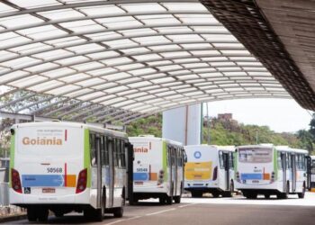 projeto-propoe-transporte-publico-gratuito-aos-domingos-e-feriados-na-capital
