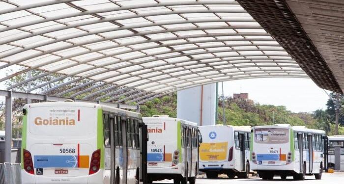 projeto-propoe-transporte-publico-gratuito-aos-domingos-e-feriados-na-capital