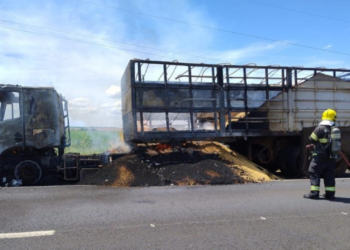 carreta-carregada-com-soja-pega-fogo-na-br-060