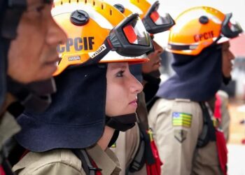 media-salarial-das-mulheres-cresce-em-goias-e-bate-recorde