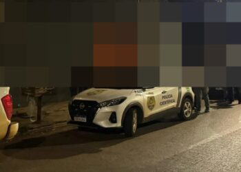 autoridades-investigam-galpao-suspeito-de-armazenar-carne-de-cavalo-em-anapolis