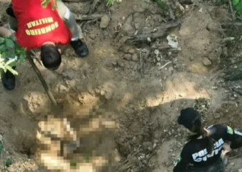 policia-encontra-tres-corpos-em-fazenda-de-goias-durante-buscas-por-familia-desaparecida