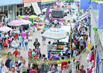 camelos-sao-proibidos-de-atuar-nas-ruas-e-calcadas-da-capital