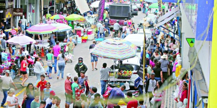 camelos-sao-proibidos-de-atuar-nas-ruas-e-calcadas-da-capital