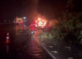 motorista-morre-apos-carro-de-luxo-bater-em-arvore-e-pegar-fogo-em-anapolis