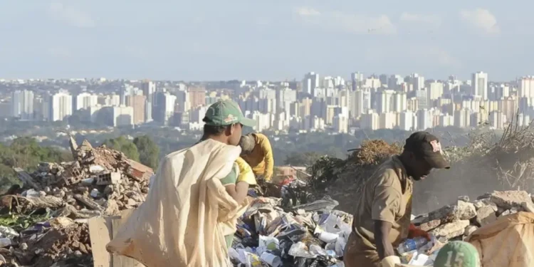 mp,-pc-e-sptc-se-unem-para-eliminar-os-lixoes-em-goias