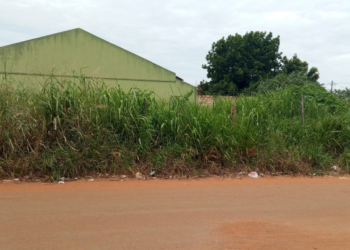 moradores-denunciam-mato-alto-na-vila-delfiore