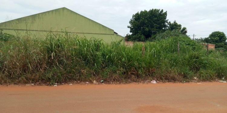 moradores-denunciam-mato-alto-na-vila-delfiore