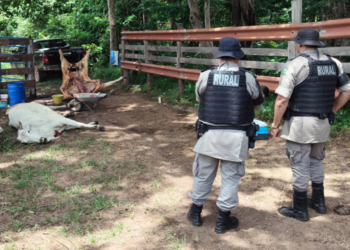 abatedouro-clandestino-e-fechado-em-baliza-apos-operacao-policial