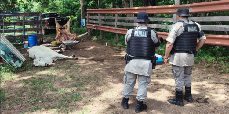 abatedouro-clandestino-e-fechado-em-baliza-apos-operacao-policial