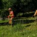 projeto-responsabiliza-prefeitura-de-goiania-por-danos-em-servicos-de-rocagem