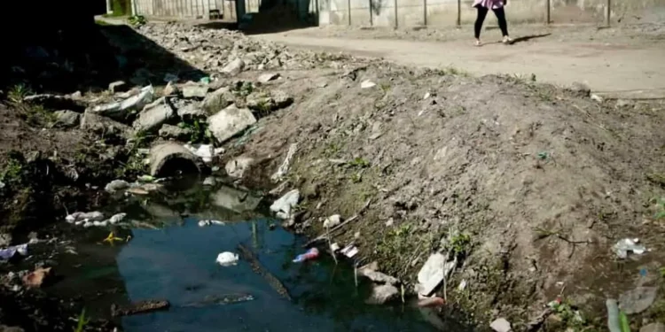 saneamento-precario-causa-mais-de-21-mil-internacoes-em-goias