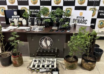 policia-civil-desarticula-grupo-criminoso-que-vendia-oleo-e-shampoo-de-maconha-em-goiania