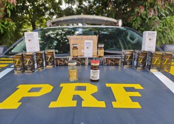 onibus-e-apreendido-ao-transportar-anabolizantes-ilegais-em-jaragua