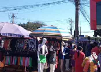 prefeitura-de-goiania-anuncia-retirada-de-camelos-da-regiao-da-44