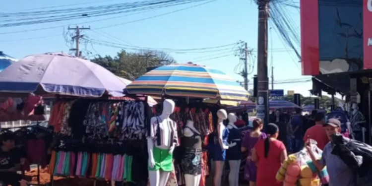 prefeitura-de-goiania-anuncia-retirada-de-camelos-da-regiao-da-44