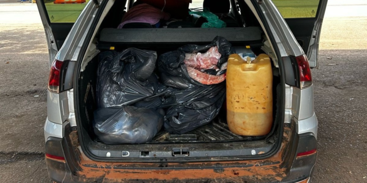 prf-apreende-animais-silvestres-abatidos-e-mais-de-200-aves-em-goias