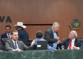 alego-deve-endossar-pec-que-garante-mais-autonomia-aos-estados-brasileiros