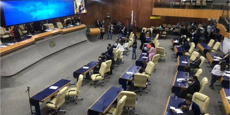 vereadores-pressionam-mabel-para-tratar-da-situacao-dos-camelos