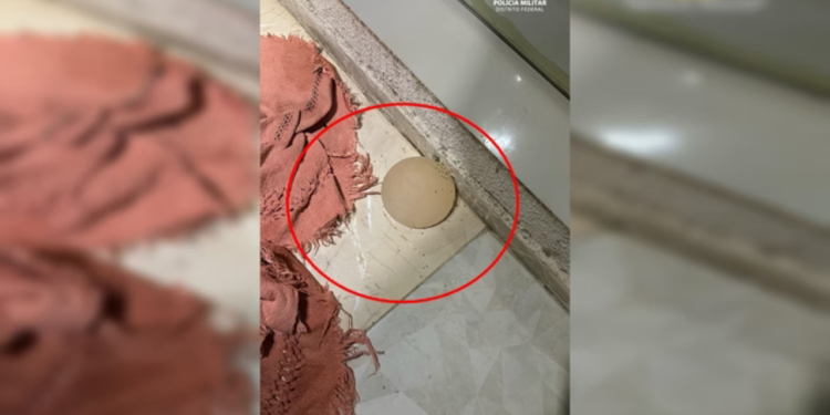 homem-e-preso-por-arrancar-protese-de-silicone-da-companheira-com-faca-no-df