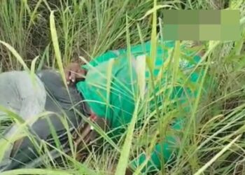 trabalhador-rural-morre-apos-ser-arrastado-por-animal-durante-trabalho