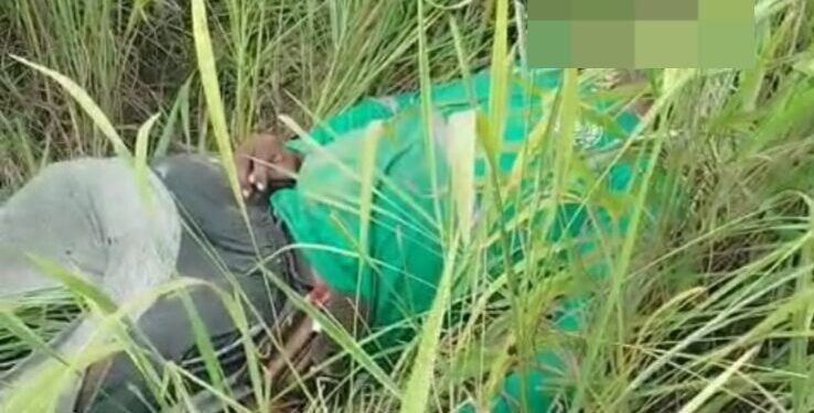 trabalhador-rural-morre-apos-ser-arrastado-por-animal-durante-trabalho