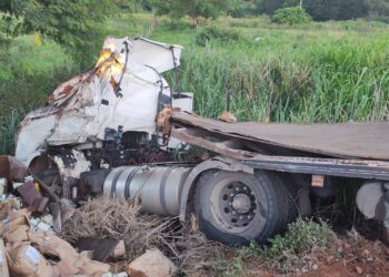 caminhao-carregado-de-palmito-tomba-na-br-153-em-morrinhos