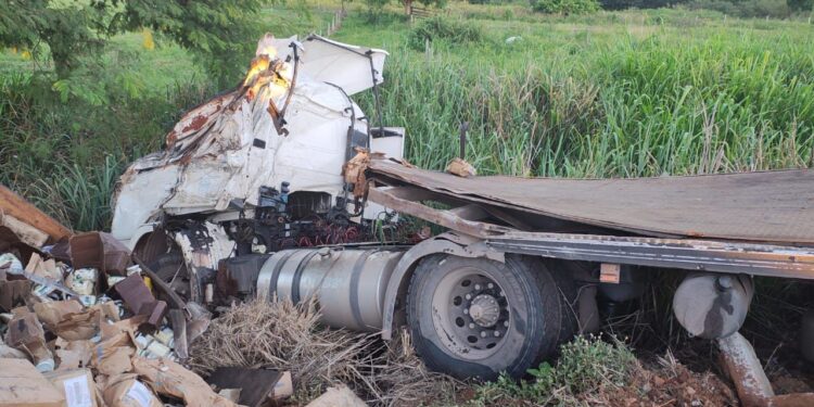 caminhao-carregado-de-palmito-tomba-na-br-153-em-morrinhos