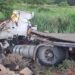 caminhao-carregado-de-palmito-tomba-na-br-153-em-morrinhos