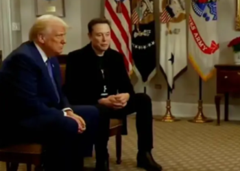 elon-musk-deve-deixar-governo-de-donald-trump