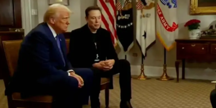 elon-musk-deve-deixar-governo-de-donald-trump