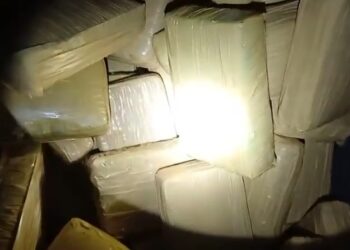 150-tabletes-de-skunk-escondidos-em-maquina-agricola-em-goias-sao-apreendidos