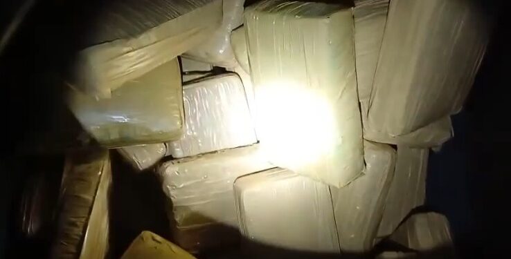 150-tabletes-de-skunk-escondidos-em-maquina-agricola-em-goias-sao-apreendidos