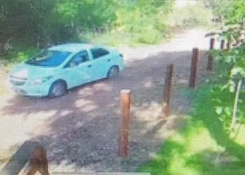 idoso-tem-dedo-decepado-com-facao-e-pula-em-rio-para-fugir-de-agressores-em-goias