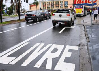 ‘goiania-ignora-as-regras-basicas-da-engenharia-de-trafego’,-afirma-especialista