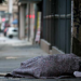 camara-aprova-lei-que-garante-direitos-para-moradores-de-rua