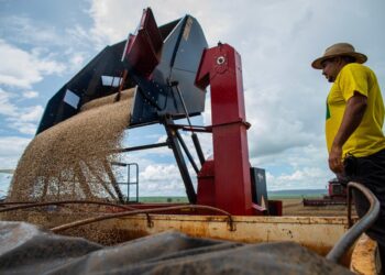 goias-deve-produzir-38,4-milhoes-de-toneladas-de-graos-na-safra-de-2025