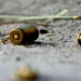crianca-de-3-anos-morre-com-tiro-na-cabeca-na-vespera-do-aniversario;-“ela-so-queria-comemorar”