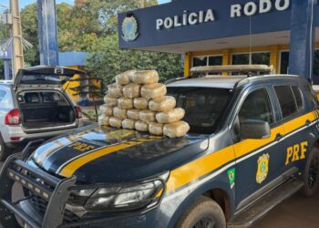 25-kg-de-skunk-sao-apreendidos-apos-perseguicao-na-br-060,-em-jatai-(go)