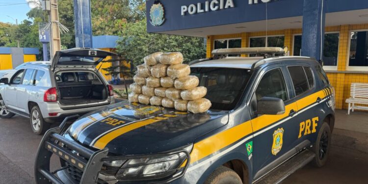 25-kg-de-skunk-sao-apreendidos-apos-perseguicao-na-br-060,-em-jatai-(go)