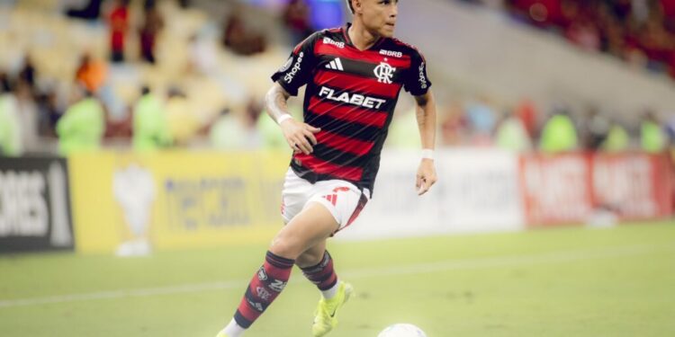 ministerio-da-fazenda-autoriza-patrocinador-master-do-flamengo-a-operar-no-brasil-ate-2030